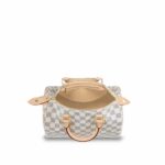 Louis Vuitton Speedy 25 N41371