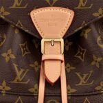Louis Vuitton M45501 Montsouris PM