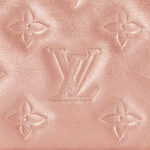 Louis vuitton M21148 Coussin BB