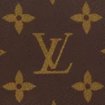 Louis Vuitton Mini Pochette Accessoires M58009
