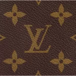 Louis Vuitton Speedy 25 M41109