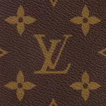 Louis Vuitton Speedy Bandouliere 25 M41113