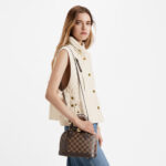 Louis Vuitton Damier Ebene coated canvas N40447 Braided Alma BB