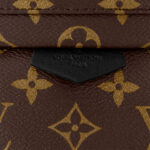 Louis Vuitton Monogram M44871 Palm Springs PM
