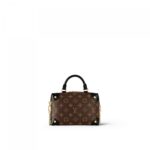 Louis Vuitton Petite Malle Souple M45571